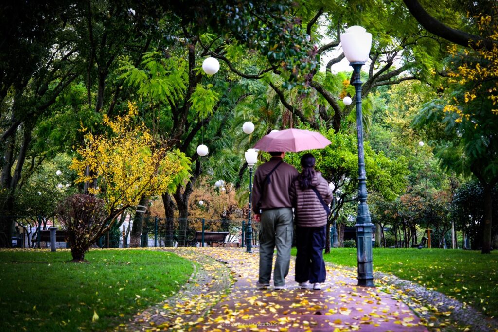 Lisbonne jour de pluie activité Indoor